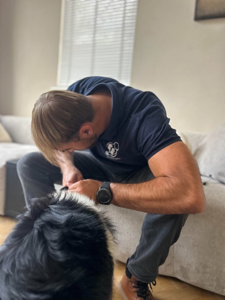 Dierenarts Grégor onderzoekt een hond aan huis