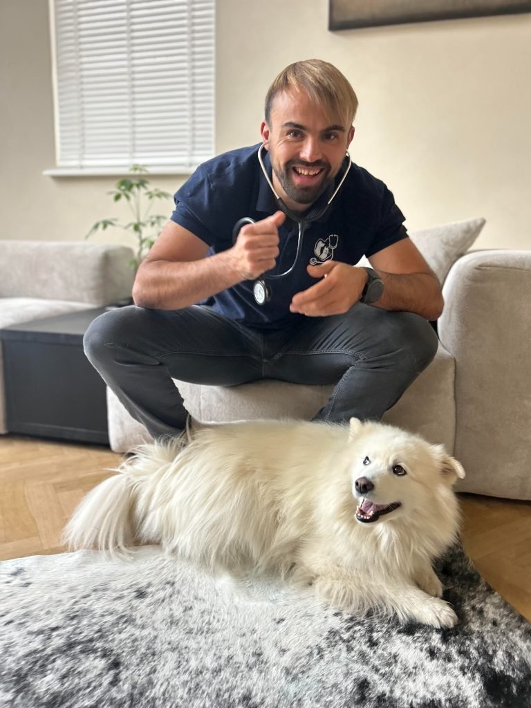 Hond aan huis