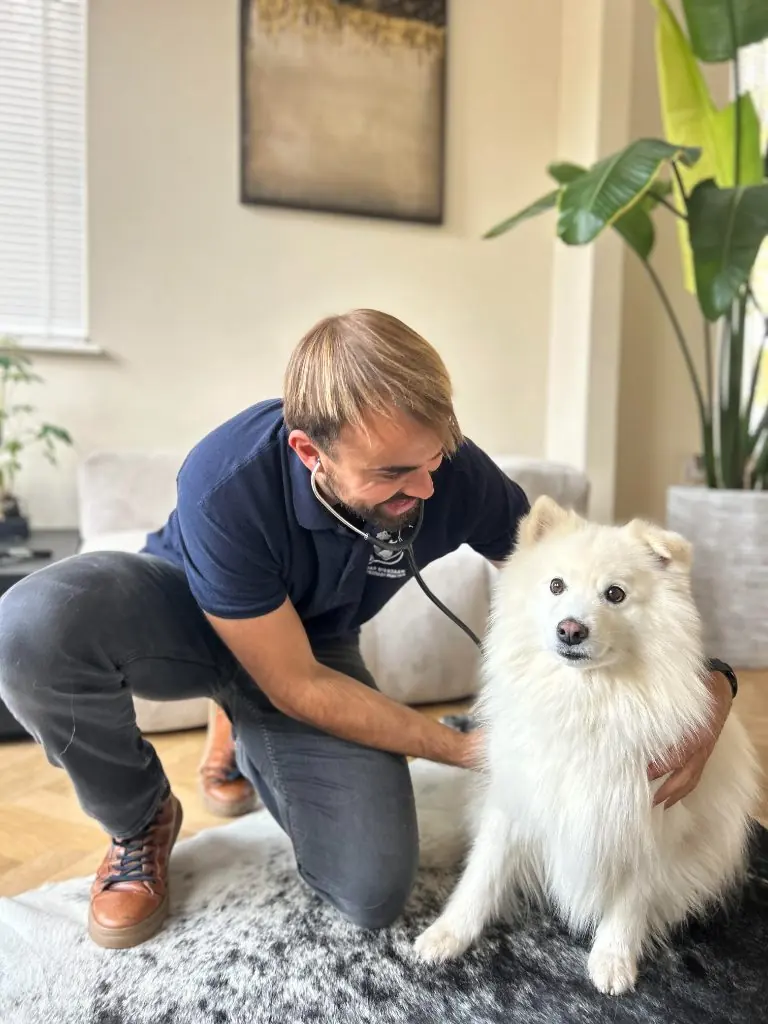 Dierenarts Gr&eacute;gor onderzoekt een hond tijdens een huisbezoek