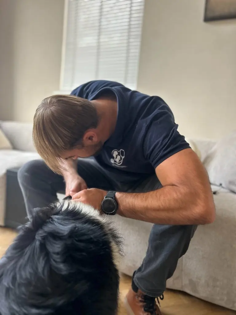 Dierenarts Gr&eacute;gor onderzoekt een hond aan huis